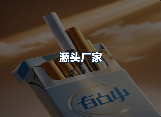 专业团队办公环境
